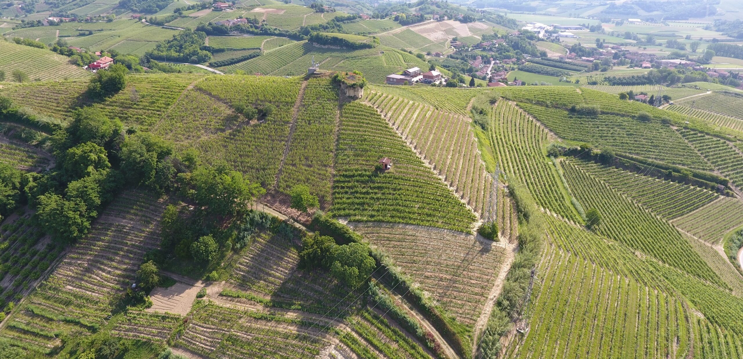 Luftansicht eines Weinberges im Piemont
